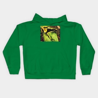 Poison Dart Arrow Frog--Black and Yellow Kids Hoodie